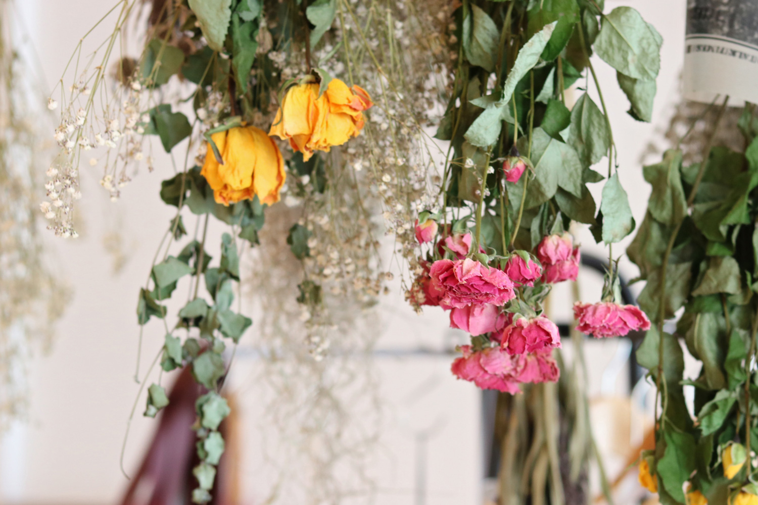フラノマルシェ はなや日々色の店先 光を浴びるドライフラワーも色とりどり 生のお花には生のお花の ドライフラワーにはドライフラワーの それぞれの美しさがあります ドライフラワー 花屋 富良野 T Co Beabrjvfy8 Twitter