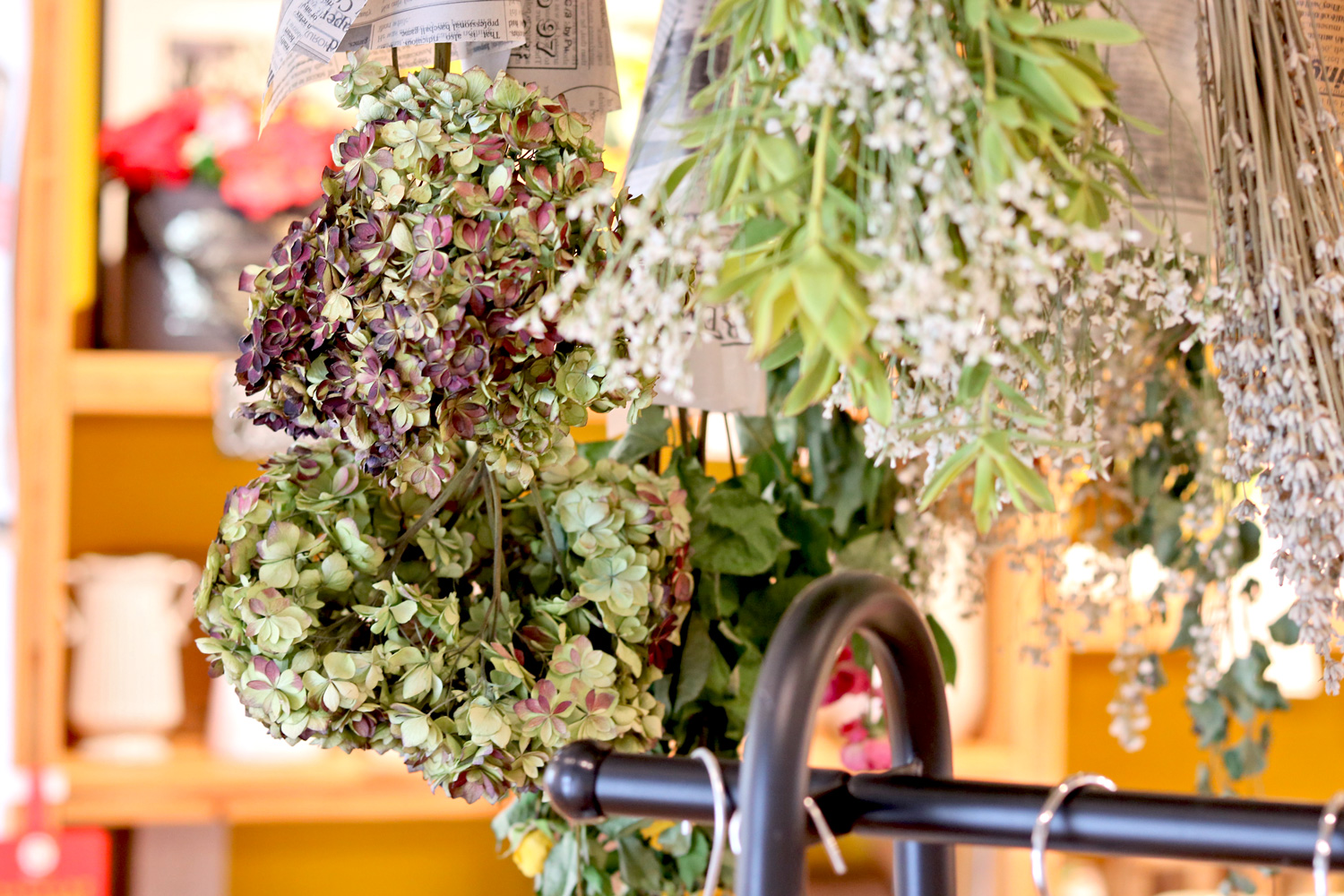 フラノマルシェ はなや日々色の店先 光を浴びるドライフラワーも色とりどり 生のお花には生のお花の ドライフラワーにはドライフラワーの それぞれの美しさがあります ドライフラワー 花屋 富良野 T Co Beabrjvfy8 Twitter