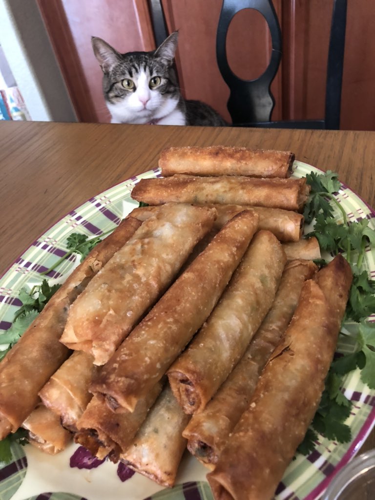 silvinocruz's tweet photo. Yes it’s true. My cat loves lumpia. #CatsOfTheQuarantine https://t.co/NH3RnTKziB
