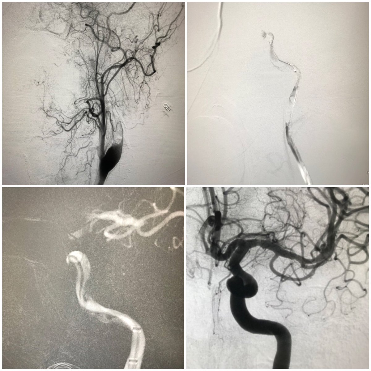 Guilherme S. Nakiri tweet media