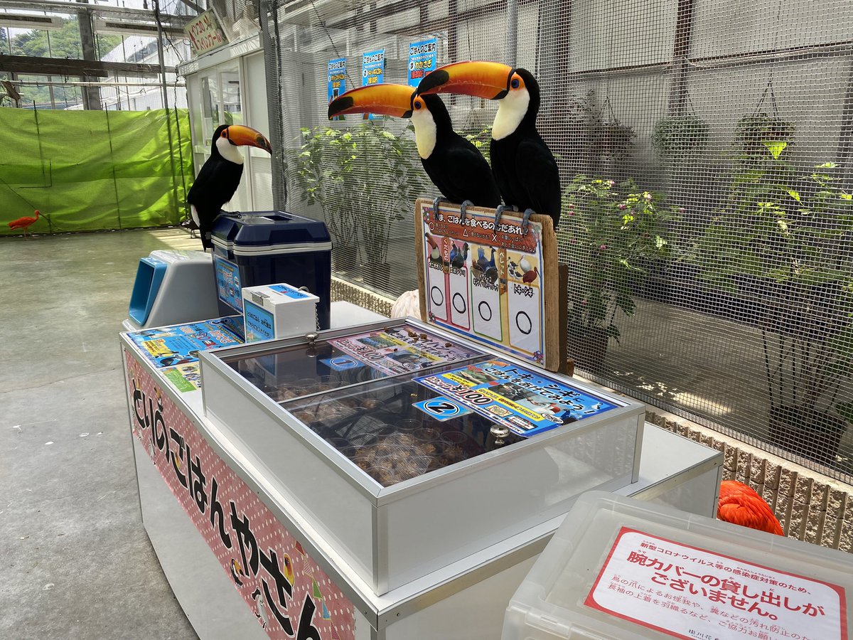 いつもにこやかに対応してくれる掛川花鳥園だが あるエリアだけスタッフさんの圧が強い めちゃくちゃ接客されたい Togetter いつもにこやかに対応してくれる掛川花鳥園だが あるエリアだけスタッフさんの圧が強い めちゃくちゃ接客されたい Togetter