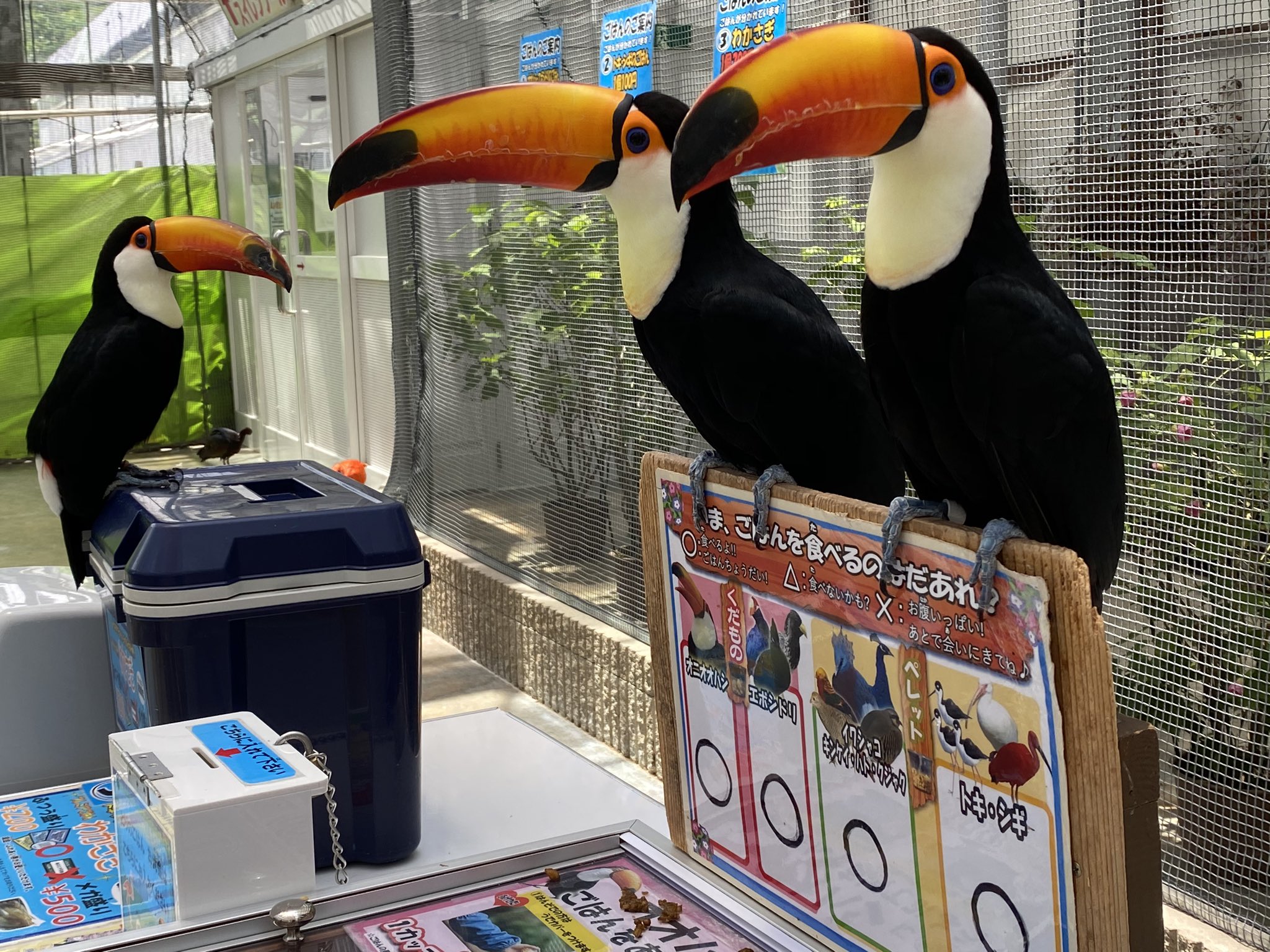 恐怖 静岡の動物園内にある 鳥の餌売り場 無言の圧力 がすっごい えのげ 恐怖 静岡の動物園内にある 鳥の餌売り場 無言の圧力 がすっごい えのげ