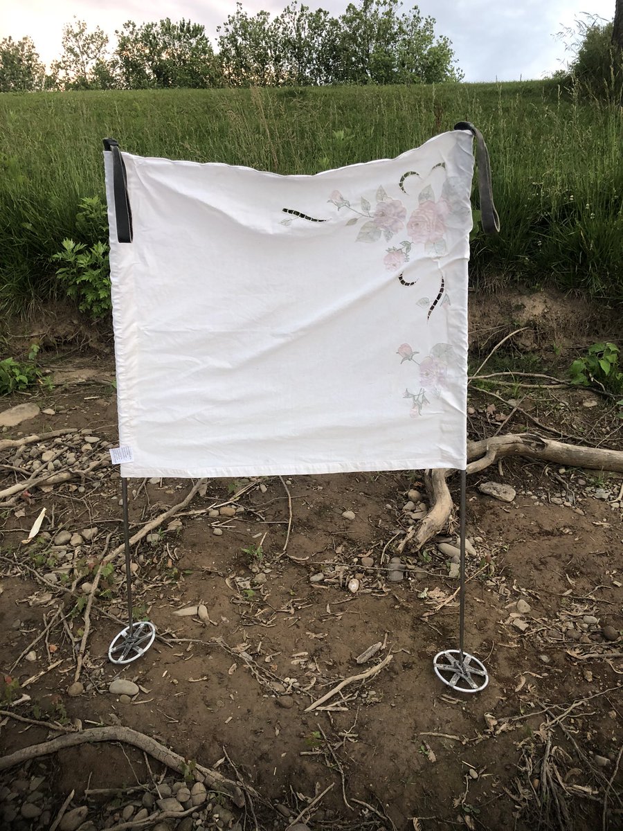 Patch_The_Medic's tweet image. A thread on me and @MarsaOvO ‘s bug hunting yesterday:

Light trap set up (front and back)
Me :D
the swarm of mayflies under the light trap once things got rollin (these lads just wigglin)  #PercysLab #macroinverts #macros #nightsci 1/5