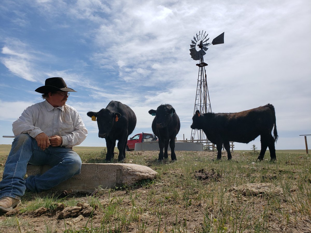The_MJohnston's tweet photo. Time for an upgrade ☀️ #solar #sunmill #grass #beef #rangeland https://t.co/LH1ErNFJHj