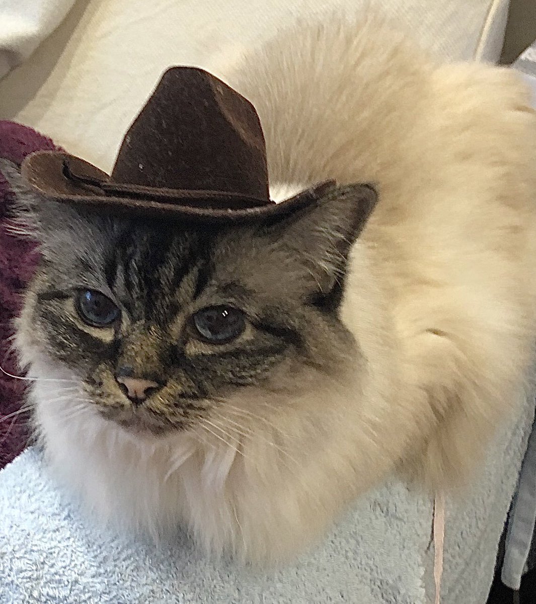 WHAT in tarnation