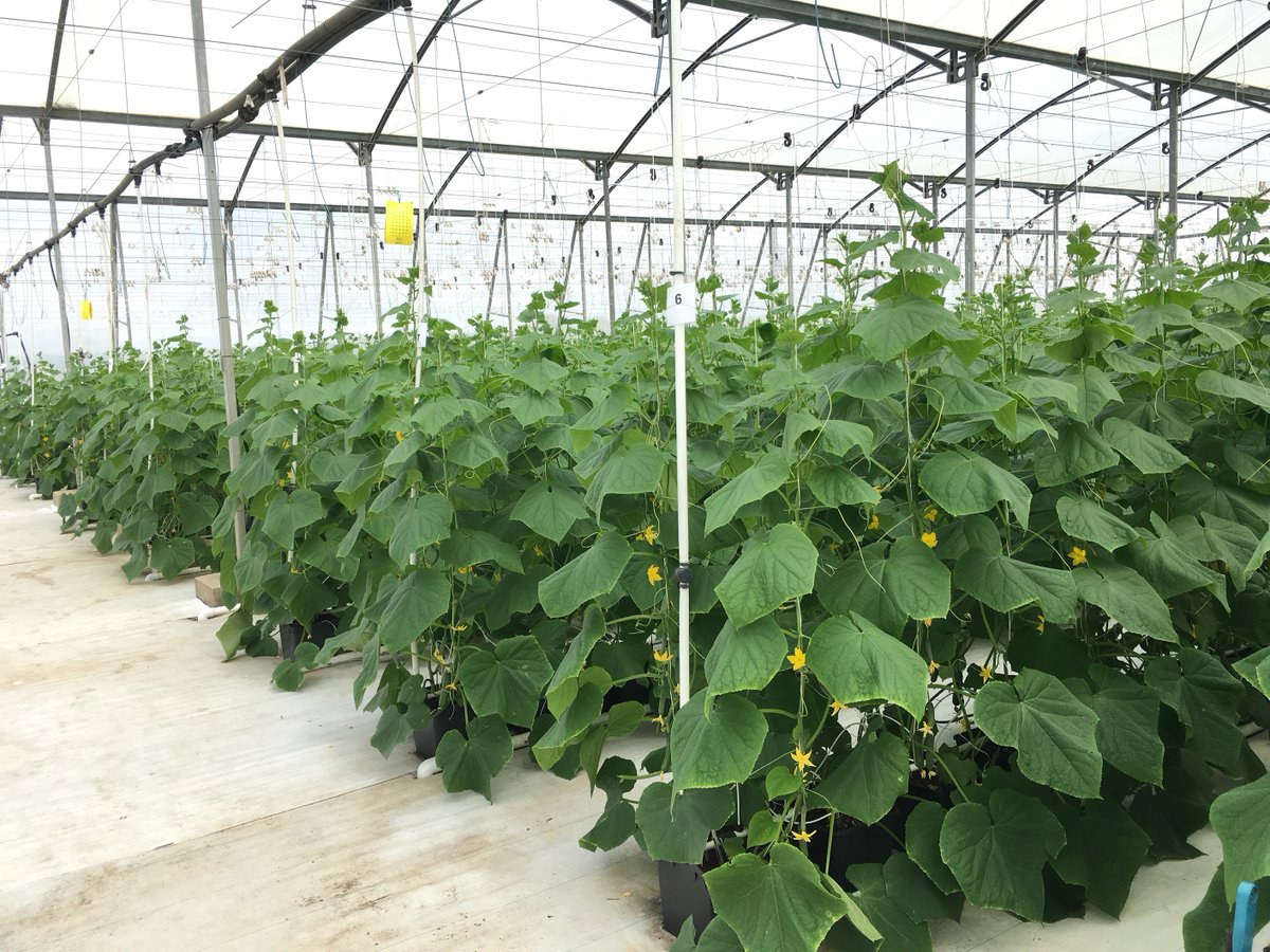 The 2020 Queensland Agriculture Awards are open. Nominations are sought from people who have made outstanding contributions to Queensland agriculture, fisheries or forestry. Noms close 20 July 2020. <a href="/jedmatz/">Jed Matz</a> <a href="/MsKristin_N/">Kristin</a> @QAAFI <a href="/TimberQLD/">Timber Queensland</a> <a href="/Queensland_FSR/">UQ Farming Systems Group</a>  #qldagriculture