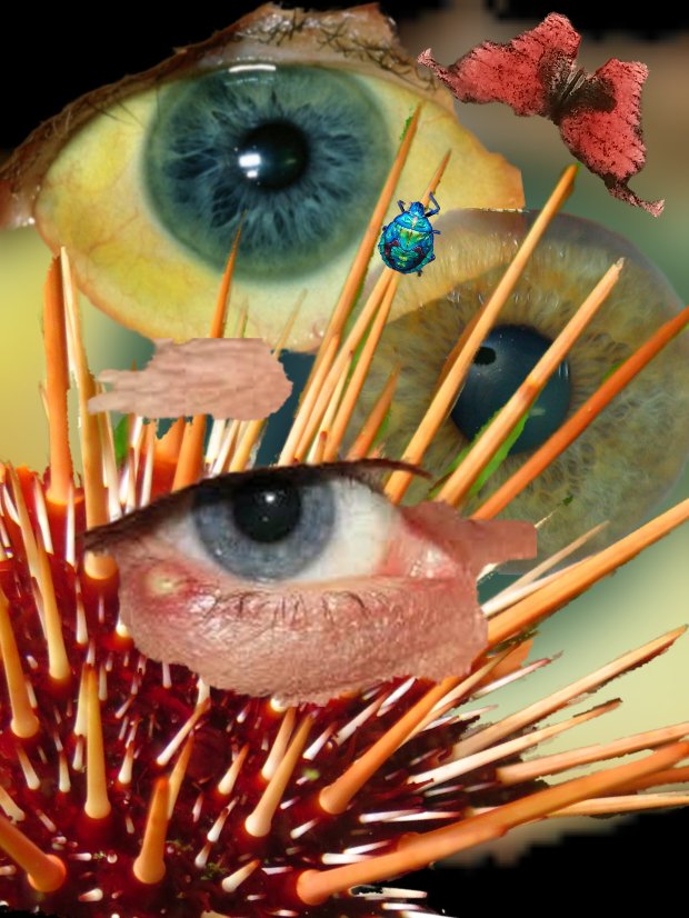 Submissions are open until July 15 for Issue 04: The Penetrating Gaze -> [surrealpoetics.weebly.com/surrealism-n/t…]
#surrealism #amwriting #poetry #SurrealPoetics #VisionaryPoets #Clairvoyance