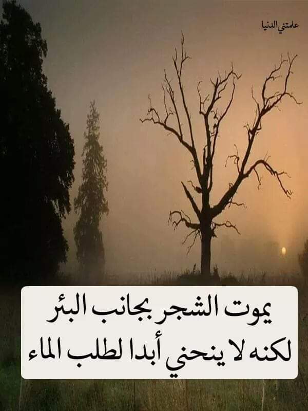 انها عزة النفس ❤️❤️