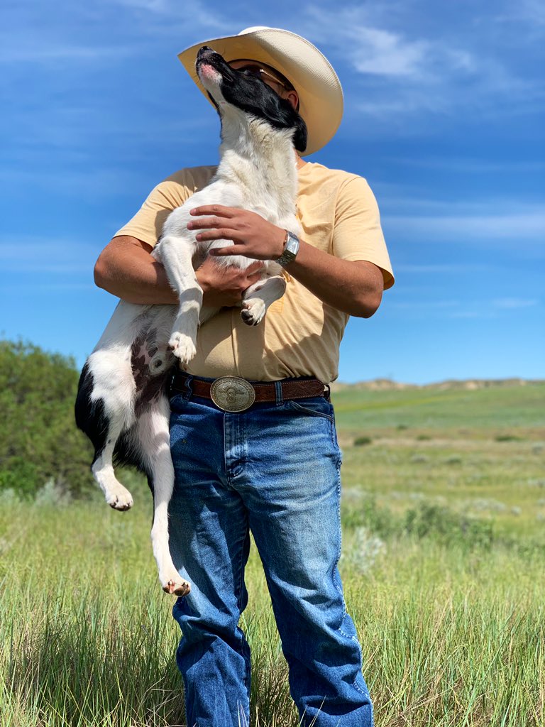 WBuxbaum's tweet image. Working like a dog all day ain’t working for me