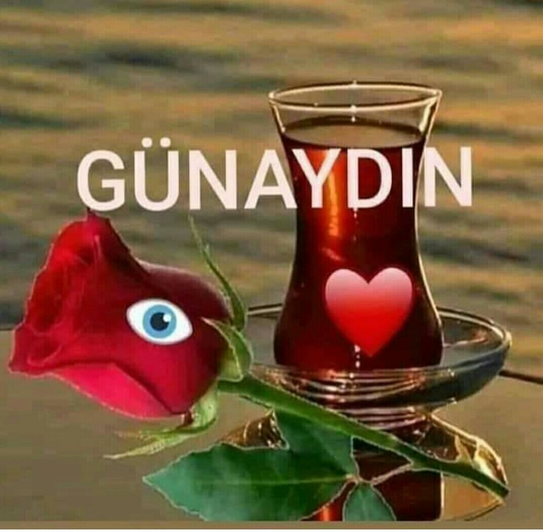 Mehmet (@kacsirin) on Twitter photo 