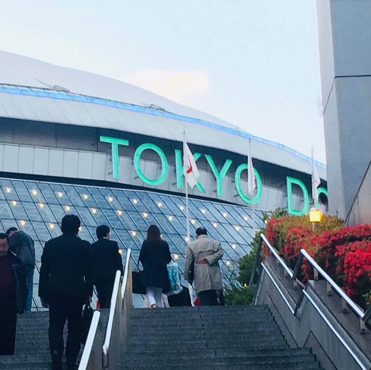 TheNomadelle's tweet photo. WHAT SPORTS TEAM HAVE YOU SEEN IN ANOTHER COUNTRY? I remember going to see Yomiuri Giants play baseball at the Tokyo Dome when I visited Japan a couple of years ago. What a fun experience!
#Nomadelle #DigitalNomad #aYearOff #TravelBlogger  #japan #tokyo #tokyodome #yomiurigiants https://t.co/pquxnqXe1g