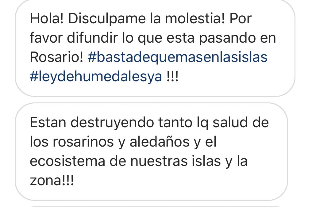El mundo de Floxie tweet media