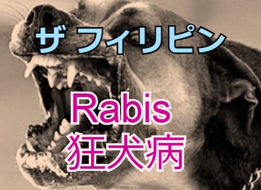 狂犬 セブ島事件 海で貝拾い中の16歳少女がロットワイラー 大型犬 に襲われる モトボサツ勝手にブログセブ島編vol2