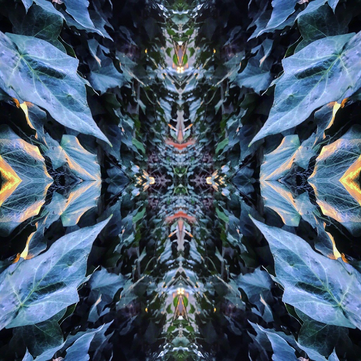 AuroraElysium's tweet photo. • Bend the Leaf, Bend the Light •

Photo&amp; Remix 📸 @AuroraElysium 
#ArtPhoto #Arte #Art #Kunst #Rhilea #randonauting #VisionaryArt #Light #BendLight #CosmicConsciousness #Gaia #GaiaConsciousness #Artist #MeditationArt #ModernArt #Gaia #PhotoArt #PsychedelicArt #Earth https://t.co/Oat8VhHcdj