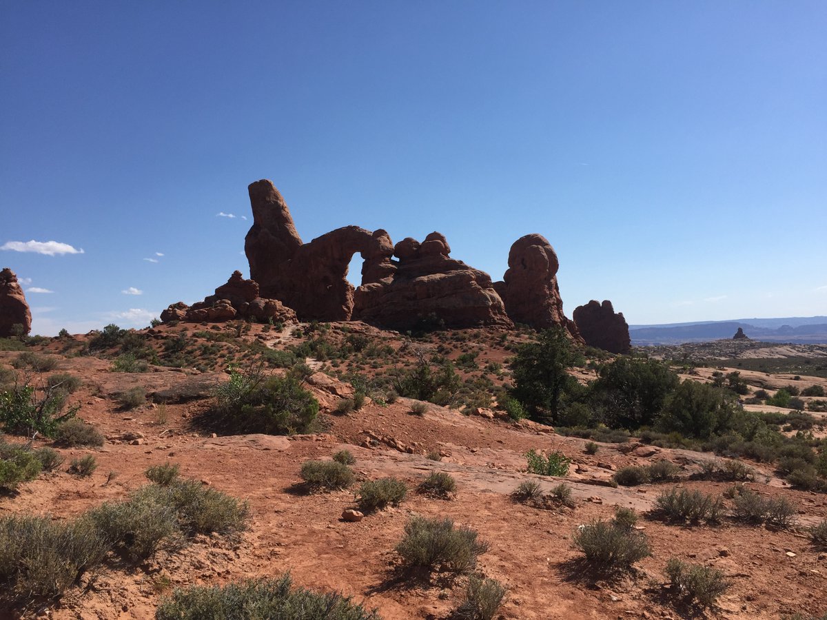 Leah | An Adventure is Calling tweet media