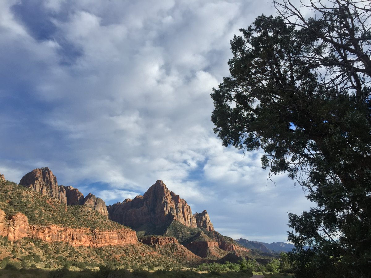 Leah | An Adventure is Calling tweet media