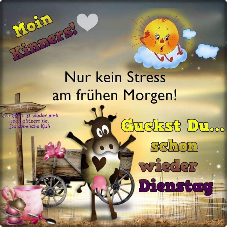 Reini_1985's tweet photo. Schönen guten Morgen Twitter Welt ☕ Ja, wir haben tatsächlich schon wieder #Dienstag - ein Tag der fast so beliebt ist wie der Montag 😄
Kommt gut durch und macht das Beste draus. 👍
#PasstAufEuchAuf 😷 #Schaffe ⚒️
#Kaffee ☕ https://t.co/z8NzAmbdCB