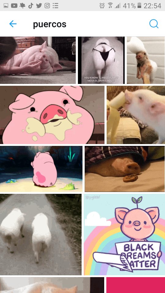 PiggysCDMX's tweet photo. Abro hilo de todos los gifs de puercos para usar  #MrPigEnTomorrowland 
@DaniellBautista @Ro_AvilaR 
#MrPigEnTomorrowland 🐷💙 https://t.co/0MWzLManZa