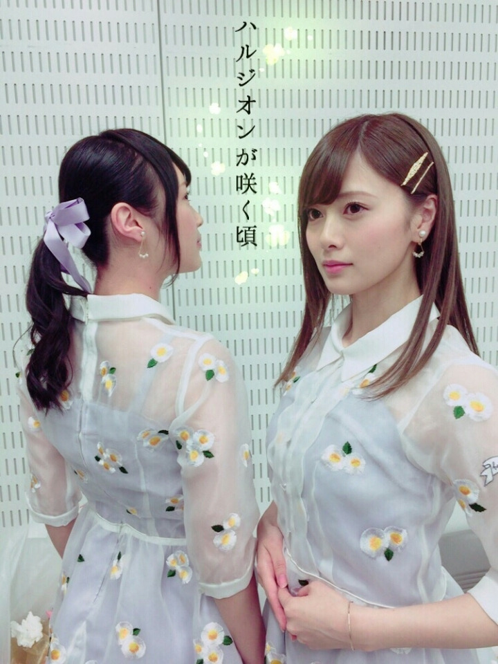 20 ⊿ Harujion ga Sakukoro [Performance Costume]The Harujion, a specific daisy called the Philadelphia fleabane in English, is embroidered on this delicate organdy dress. There is a message embroidered on the sleeve... but I was never able to read it. https://twitter.com/korobizaka/status/1272229088237944833?s=20