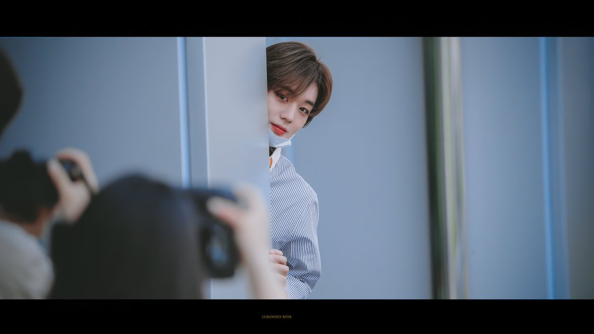 𝐥𝐮𝐦𝐢𝐧𝐨𝐮𝐬 𝐫𝐨𝐬𝐞␍ tweet media