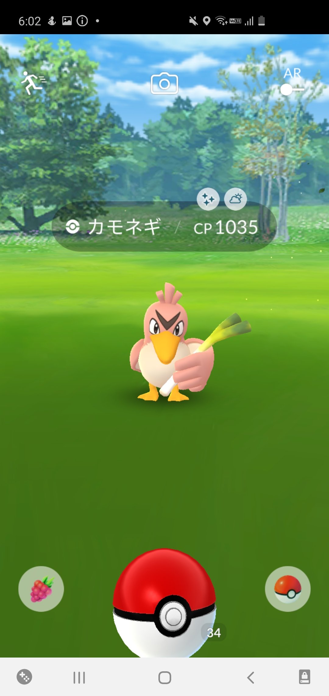 モイン ドンメルのスポットライトアワーでカモネギの色違いをばちこり出した ポケモンgo ポケモンgo色違い T Co 7z4vpaesb0 Twitter