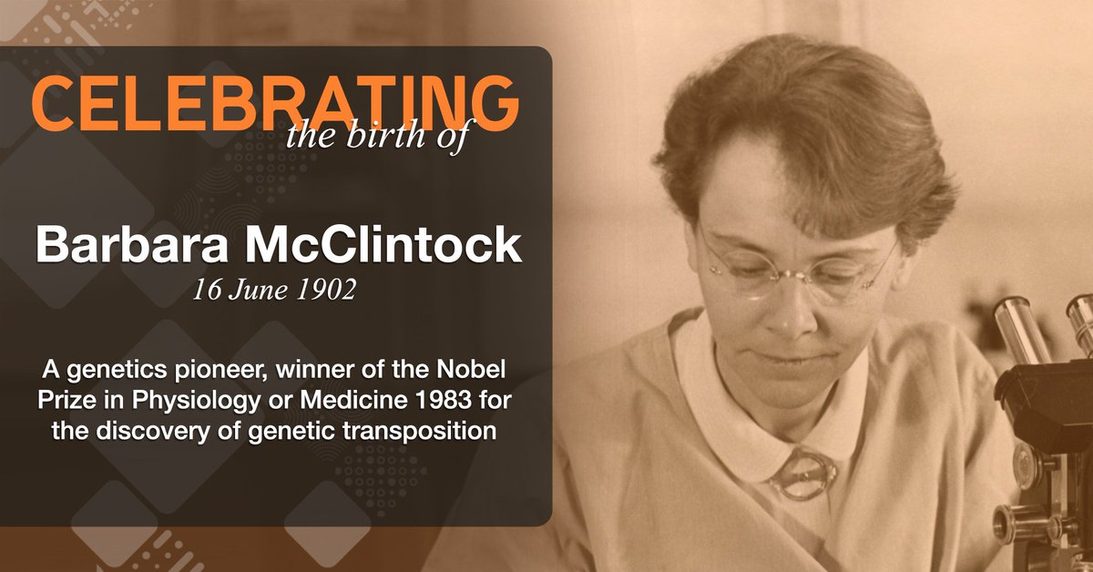 sangerinstitute's tweet photo. #OTD 1902 Barbara McClintock was born.
She won the @nobelprize for discovering that sections of #DNA can change position on a chromosome, affecting gene expression.
She is the only woman to receive an unshared Nobel Prize in Medicine.
#WomenInSTEM https://t.co/deMTuK9l3j