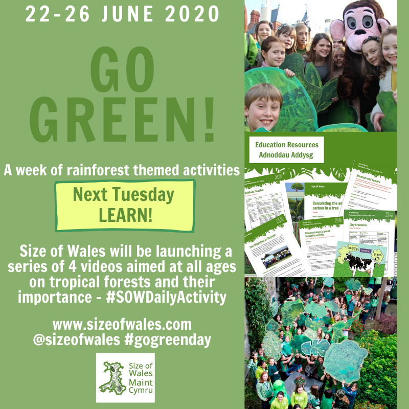 sizeofwales's tweet photo. Next Tuesday will have brand new Size of Wales videos for the #SoWDailyActivity #GoGreenDay #SmallCharityWeek #homeschooling
Dydd Mawrth nesaf bydd fideos newydd Maint Cymru ar gyfer #GwersyDiwrnodMC #dysgu #addysg #elusennaubach https://t.co/lJCtRIJi67