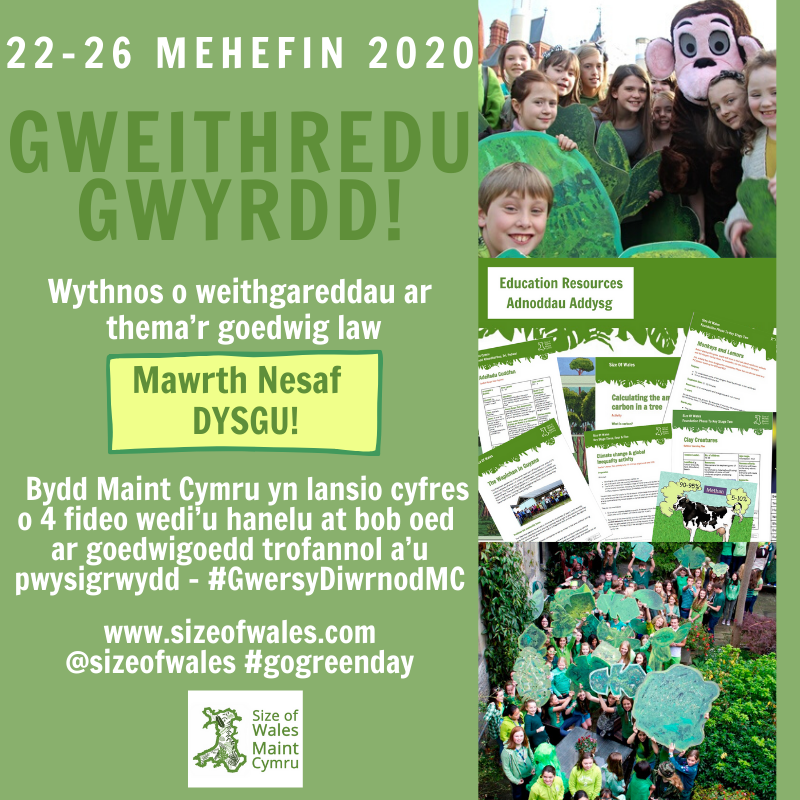 sizeofwales's tweet photo. Next Tuesday will have brand new Size of Wales videos for the #SoWDailyActivity #GoGreenDay #SmallCharityWeek #homeschooling
Dydd Mawrth nesaf bydd fideos newydd Maint Cymru ar gyfer #GwersyDiwrnodMC #dysgu #addysg #elusennaubach https://t.co/lJCtRIJi67