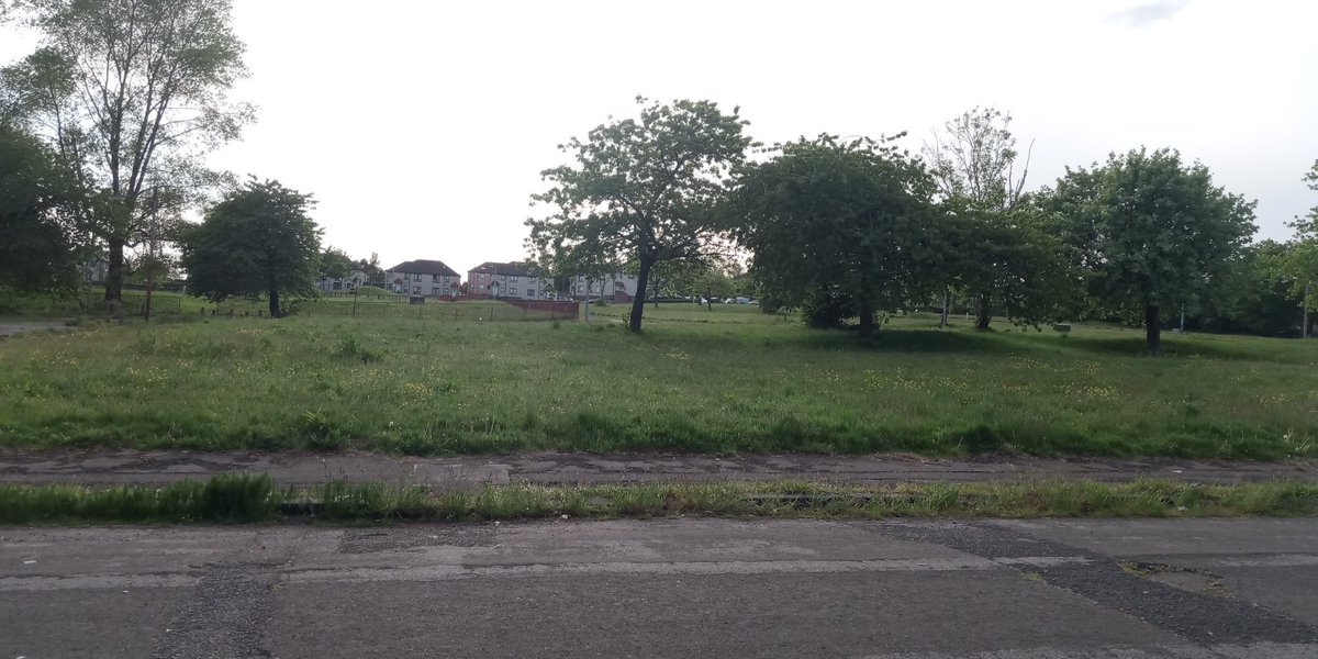 _beesandtrees's tweet photo. @ScottShanks01 @GlasgowCC @Love_plants @nature_scot @RSPBGlasgow @PlantlifeScot @WildaboutPlants @GlasgowNPC @GlasgowWEToday @BuglifeScotland @GlasgowSparrows @GCVGreenNetwork This makes me so mad!! 😡 I discovered a lovely big area in Hamiltonhill a few weeks ago,  covered in buttercups, clovers, dandelions and even some orchids I think, absolutely buzzing with insects - now been cut and nothing left!! 😡😢 https://t.co/YpptcRMLG2
