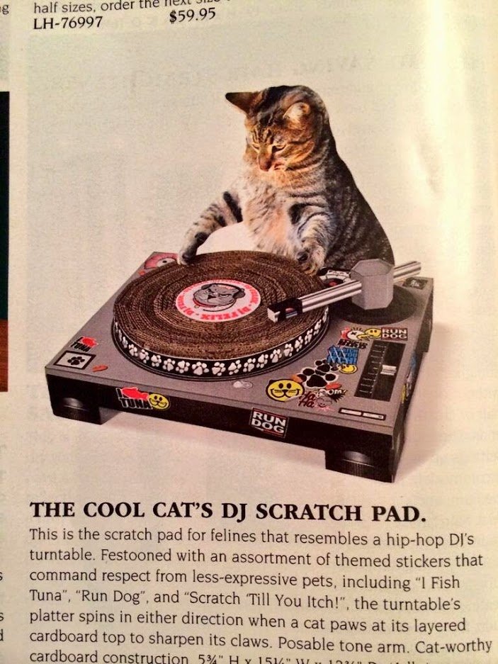 ArneKuilman's tweet image. Isn't this the coolest scratchpad? #cats #indulgement