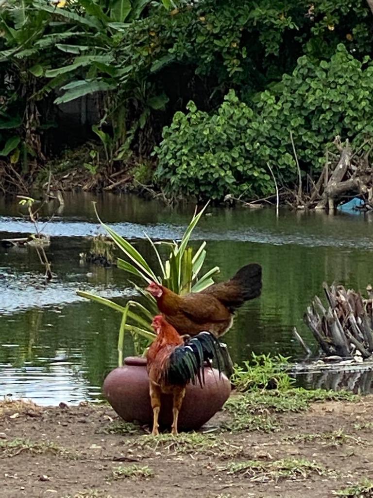 susipudjiastuti's tweet photo. Beyond misery, kehilangan kawan, bisnis yg tidak mudah dll .. Namun Bila tdk terjadi pandemic ini .. saya tdk akan pernah lihat keindahan yg saya foto🙏 https://t.co/s6gYqwclUo