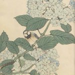 main image of this resource