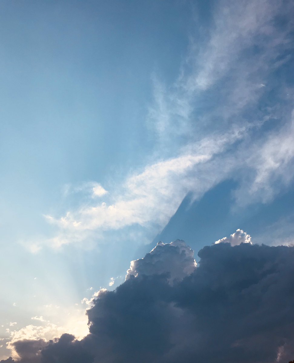 Borisheavyrocks's tweet image. Soft Edge. T #borisheavyrocks #borisdronevil #softedge