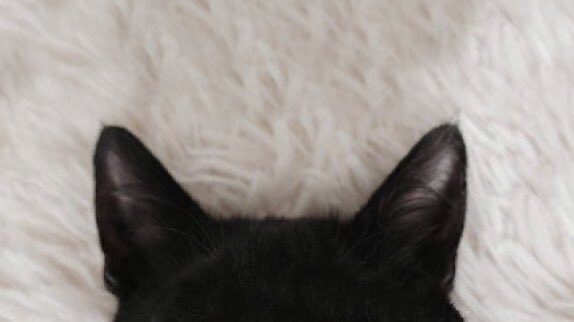 jakehours's tweet image. let me try this

#StayWithILAND