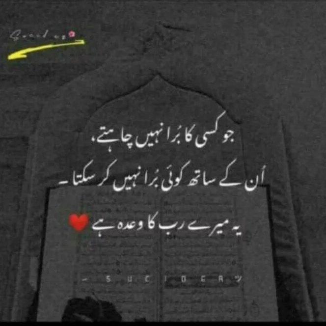 Ali tweet media