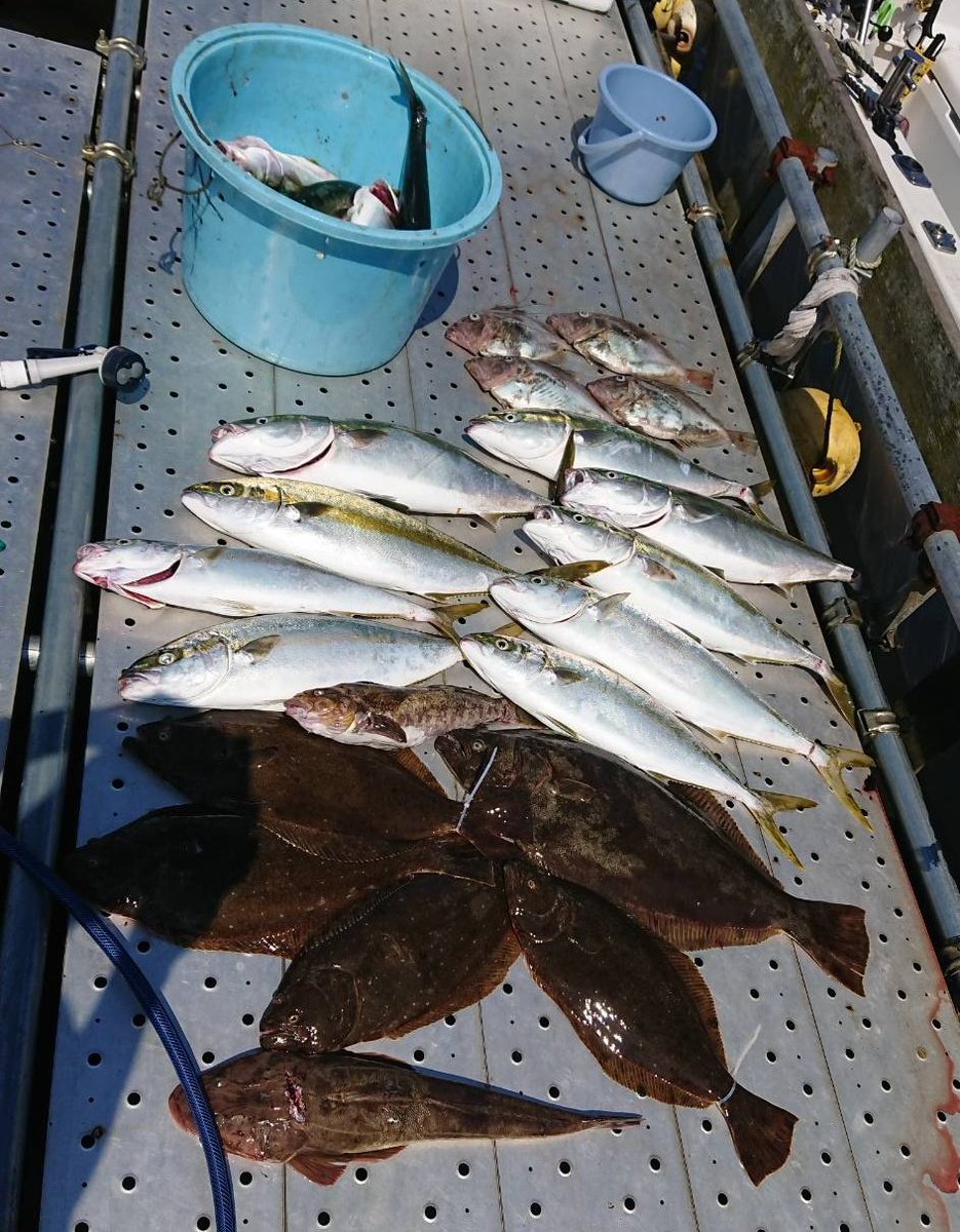 Sonzan Maru 6 16 本日の釣果 ヒラメ コチ マトウダイ ヒラマサ アイナメ メバル ワラサ 釣果情報 釣果 そんざん丸 大洗
