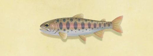 5. cherry salmon...shes kinda cute too