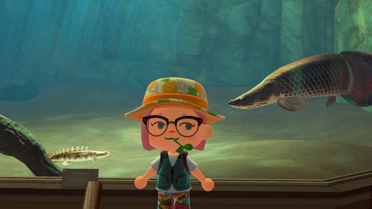 Baubear's tweet photo. Fish bros #AnimalCrossing #ACNH #NintendoSwitch https://t.co/0eCVMJtviF