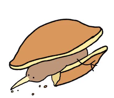 和菓子キーウィ 
