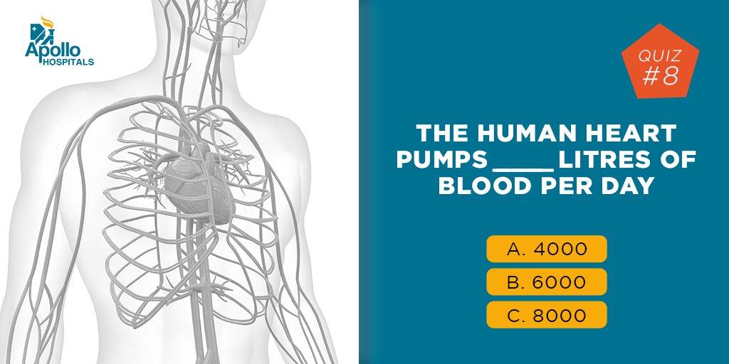 how much blood is in the human body in liters