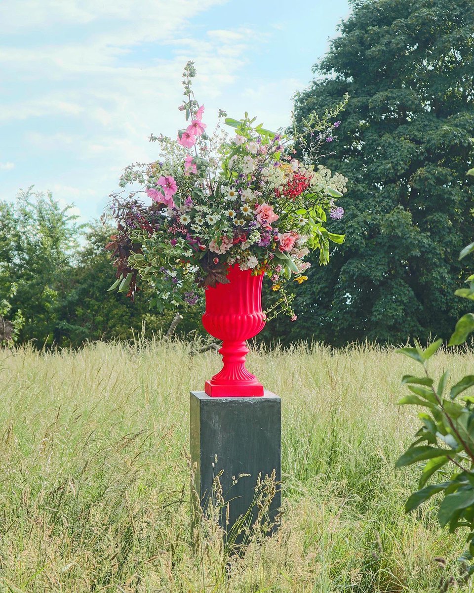 phillipcorpsflowers tweet media