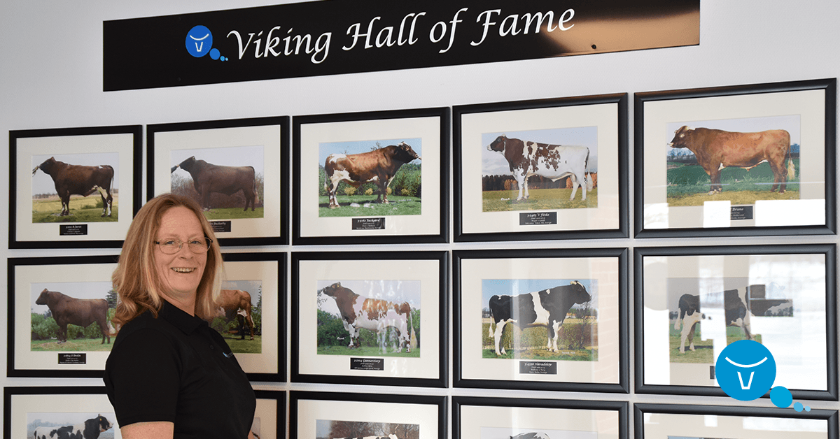 VikingGenUK's tweet photo. Carina Swartling’s sharp and profound knowledge and experience of a bull barn gleam in her current position as VikingGenetics’ new Barn Manager.
Read more online: https://t.co/orR7etnYGT
#peoplewithpassion
#meetouremployees
#dairyfarming
#cattlebreeding
#innovativebreeding https://t.co/ujQi1u4fao