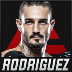 Everest MMA tweet media