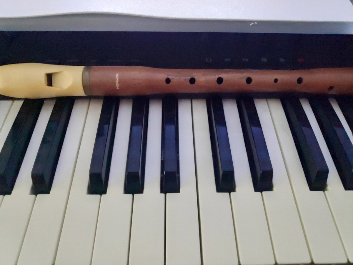 RealAnimaGames1's tweet image. Flauta del cole o vst en la música de la última zona y los créditos, ¿Qué opináis?💻bit.ly/2UtobK9
🤖bit.ly/2MKYBfA
📱apple.co
#indiesp #ESgamedev #ESindiedev #spaindev #spaingamedev #gamemusic