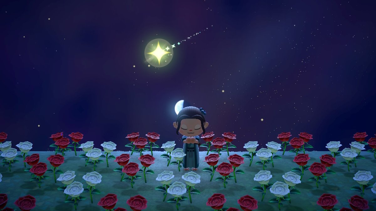 Belphe_Z's tweet photo. #动物森友会 #AnimalCrossing #ACNH #NintendoSwitch https://t.co/khXm4SaKkd
