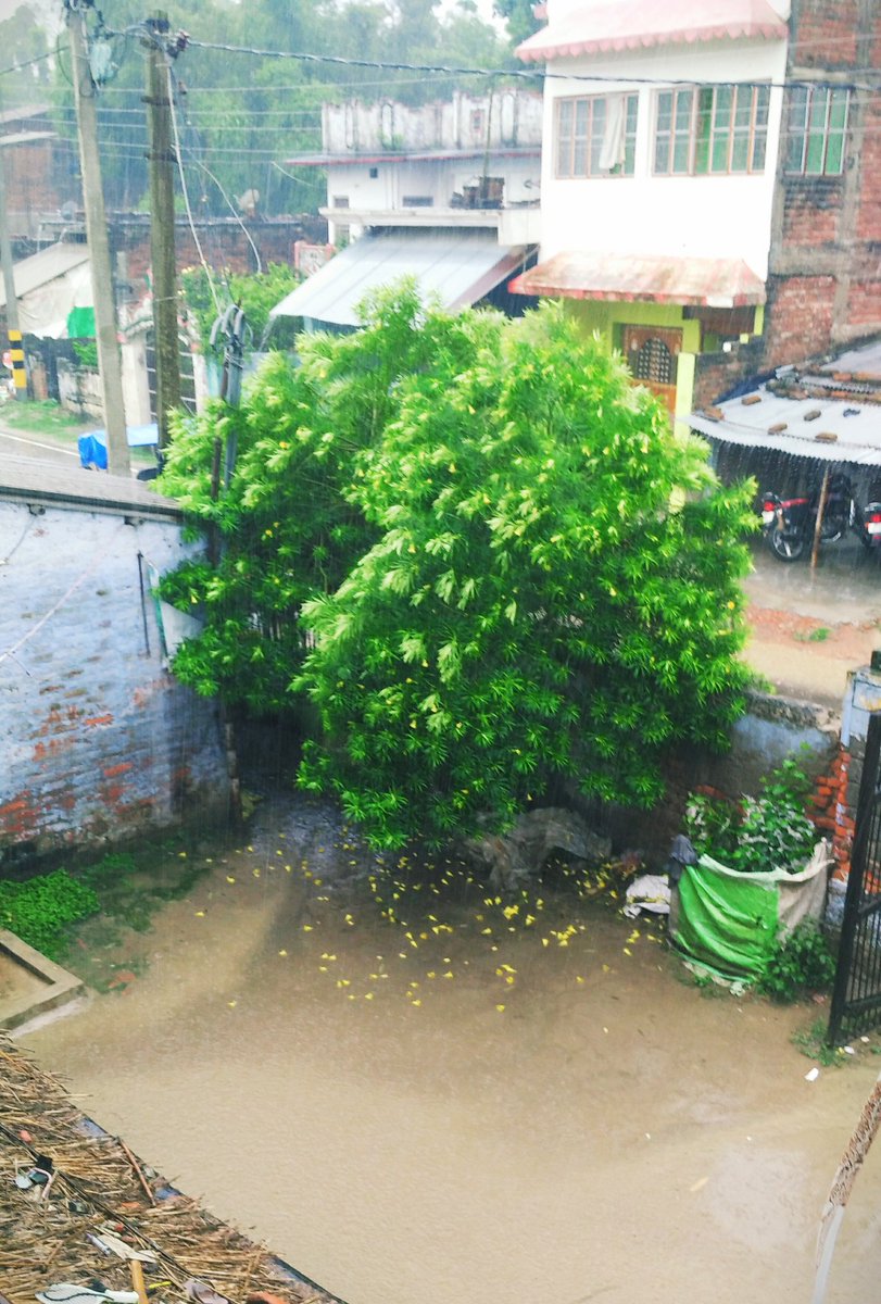 Aditya46247178's tweet photo. Most beautiful pictures in rainy season #livefurnia #liveBihar #rainyseasion #tweet_more https://t.co/Zbj3Na0NKu