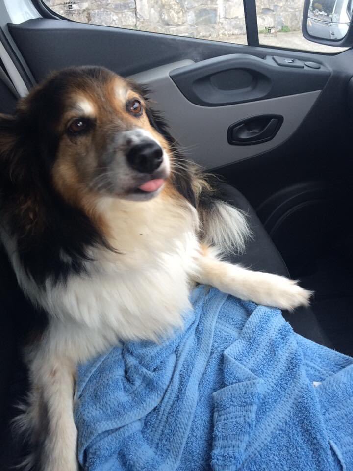 Paula Feeney tweet media