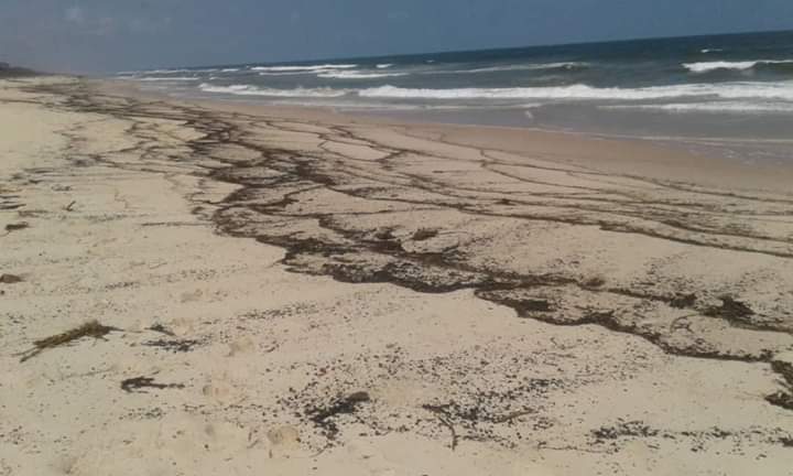 moulombi's tweet photo. La pollution qu'elle soit  industrielle ou d'origine criminelle comme à Gamba et mayumba dans le Sud du gabon, doit être considérée comme l'évasion d'une armée extérieure sur un pays et sa population, donc un crime contre l'humanité..... https://t.co/445Fc351oG