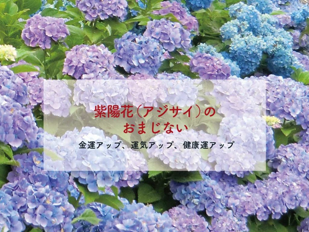 おまじないさん Komura10ta6 Twitter おまじないさん Komura10ta6 Twitter