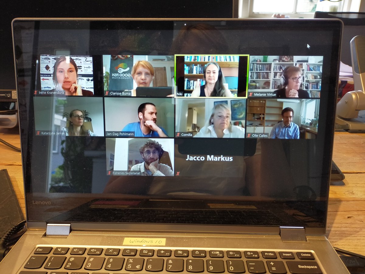 Good Fish tweet media